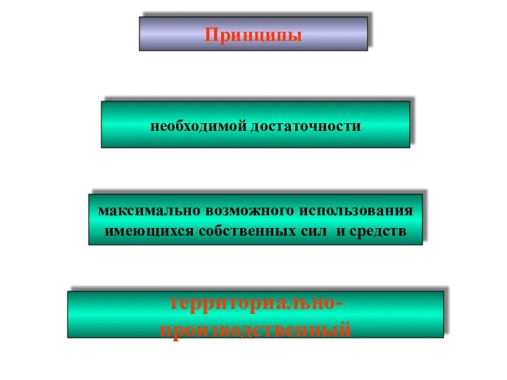 Принципы необходимой достаточности максимально возможного использования имеющихся собственных сил и средств территориально-производственный