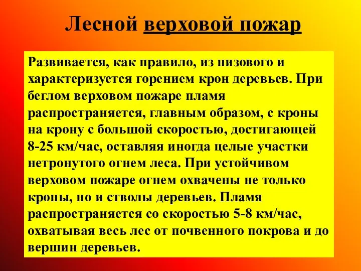 Лесной верховой пожар Развивается, как правило, из низового и характеризуется горением крон