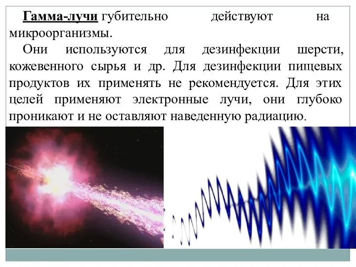 Гамма-лучи губительно действуют на микроорганизмы. Они используются для дезинфекции шерсти, кожевенного сырья