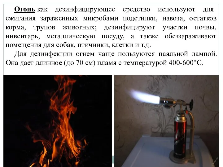 Огонь как дезинфицирующее средство используют для сжигания зараженных микробами подстилки, навоза, остатков