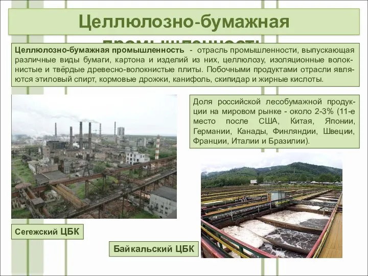 Целлюлозно-бумажная промышленность Доля российской лесобумажной продук-ции на мировом рынке - около 2-3%