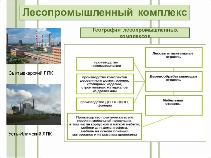 Архангельск Сыктывкар Братск Усть-Илимск Красноярск Амурск Лесосибирск Лесопромышленные комплексы Структура лесопромышленного комплекса