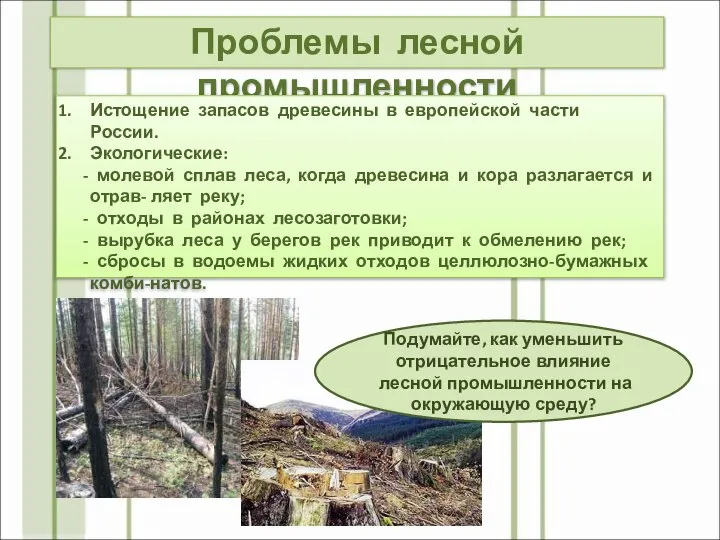 Проблемы лесной промышленности Истощение запасов древесины в европейской части России. Экологические: -