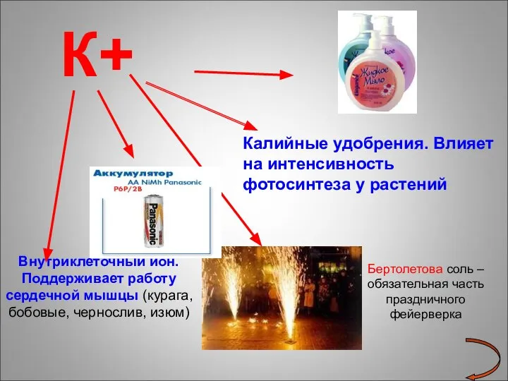 К+ Внутриклеточный ион. Поддерживает работу сердечной мышцы (курага, бобовые, чернослив, изюм) Калийные