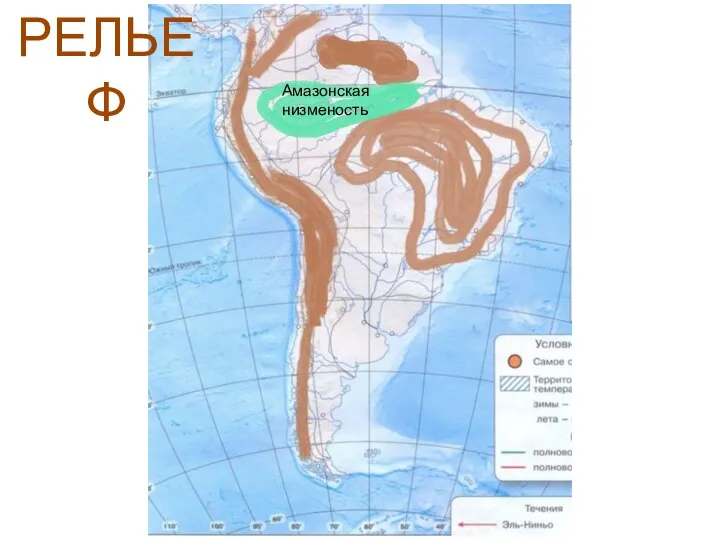 Амазонская низменость РЕЛЬЕФ