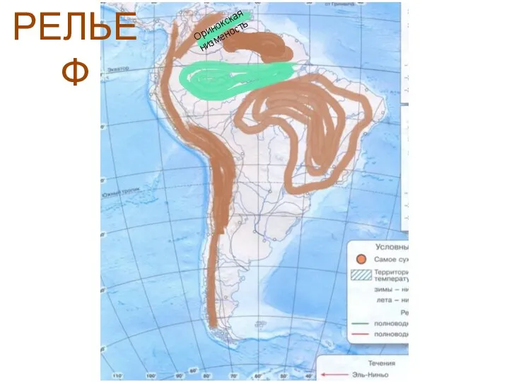 Оринокская низменость РЕЛЬЕФ