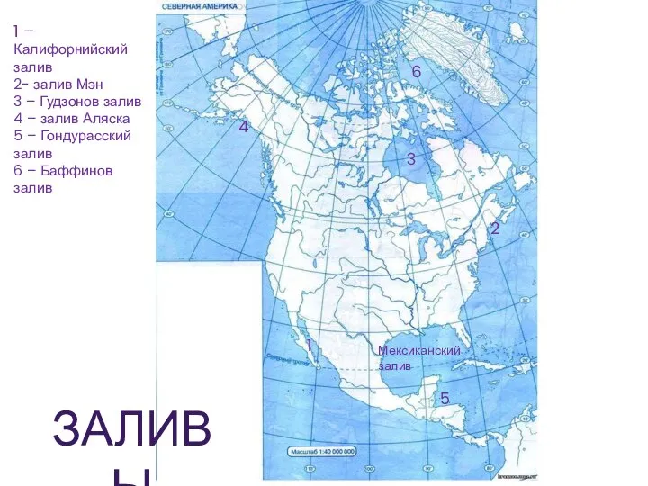 Мексиканский залив 1 2 1 – Калифорнийский залив 2- залив Мэн 3