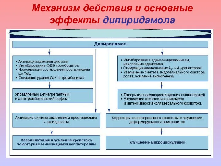 Механизм действия и основные эффекты дипиридамола