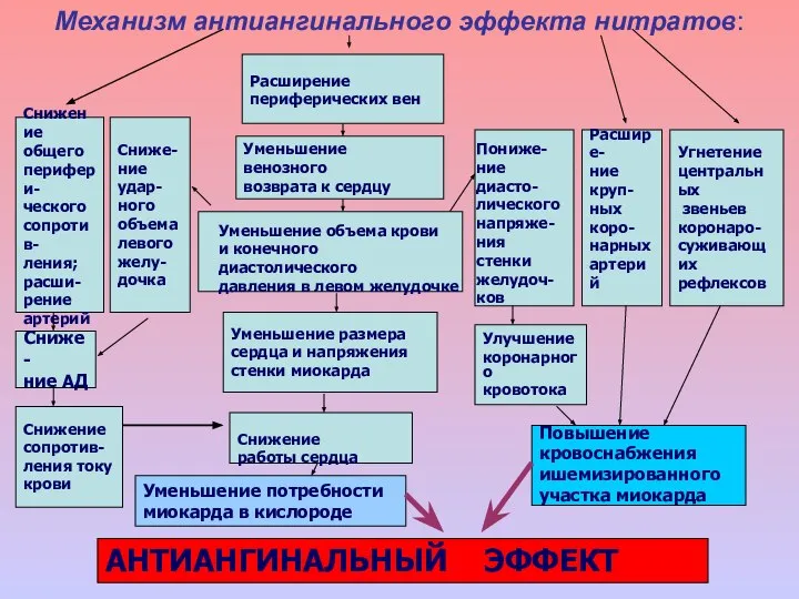 Механизм антиангинального эффекта нитратов: Расширение периферических вен Уменьшение венозного возврата к сердцу