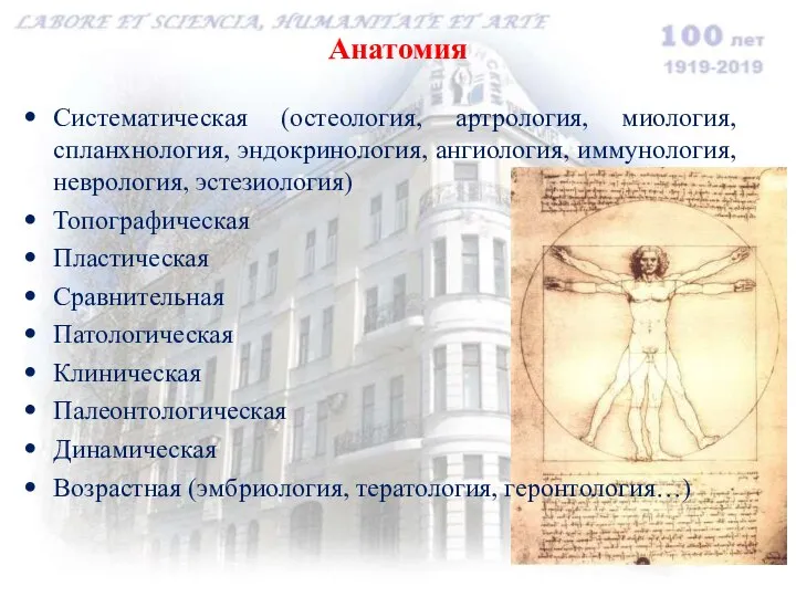 Анатомия Систематическая (остеология, артрология, миология, спланхнология, эндокринология, ангиология, иммунология, неврология, эстезиология) Топографическая