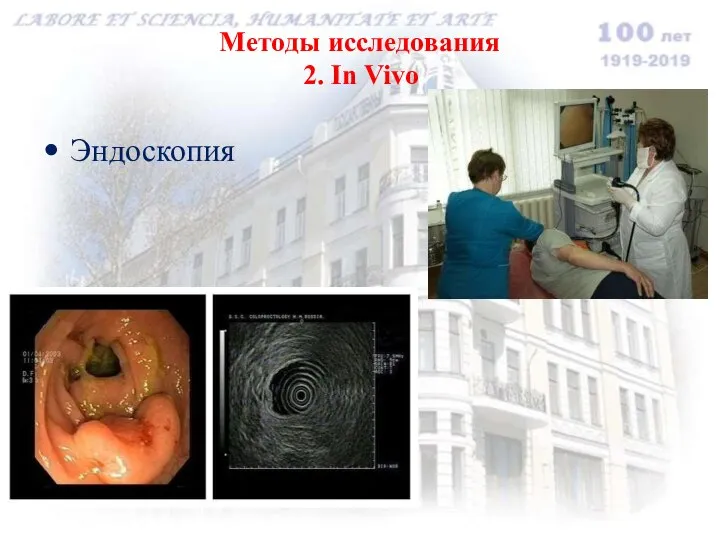 Методы исследования 2. In Vivo Эндоскопия