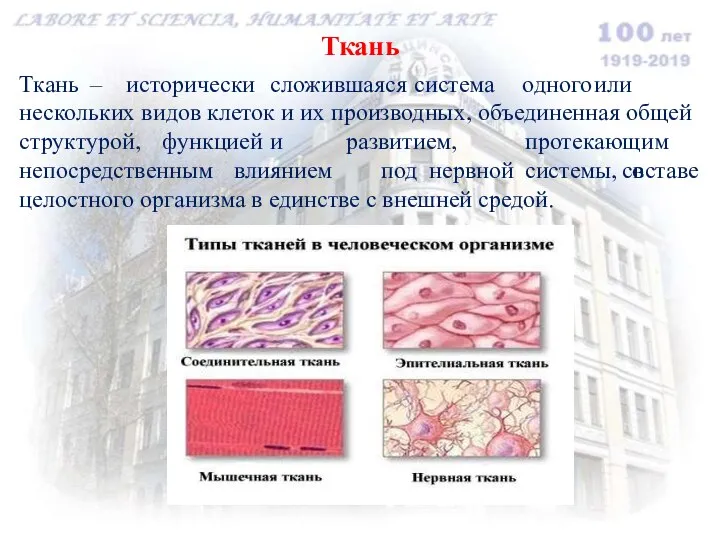 Ткань Ткань – исторически сложившаяся система одного или нескольких видов клеток и