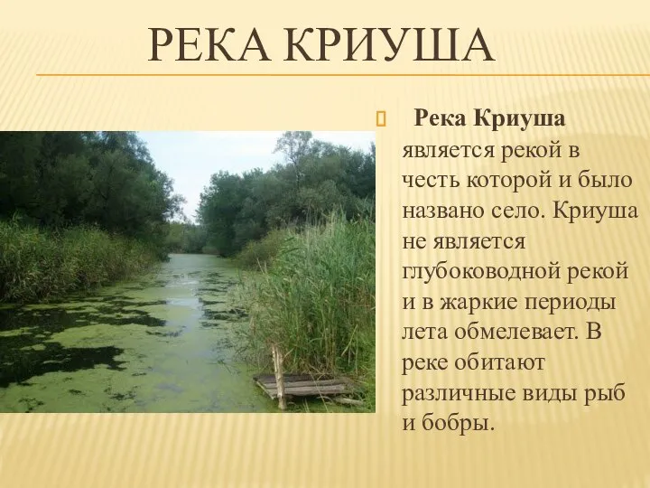 РЕКА КРИУША Река Криуша является рекой в честь которой и было названо