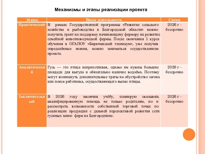 Механизмы и этапы реализации проекта