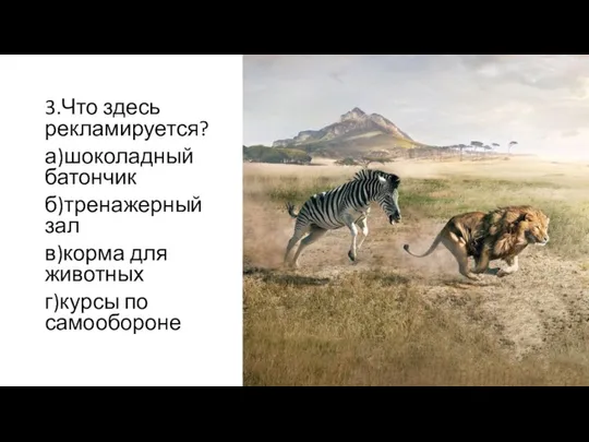 3.Что здесь рекламируется? а)шоколадный батончик б)тренажерный зал в)корма для животных г)курсы по самообороне