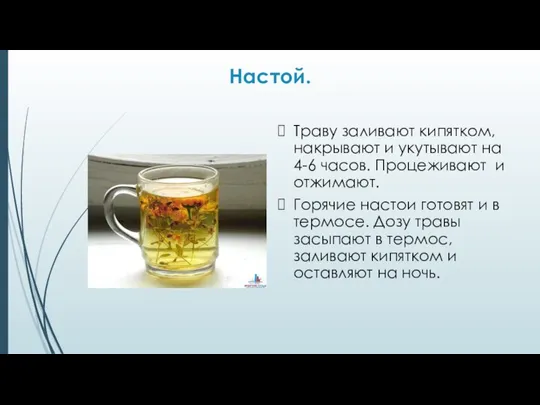 Настой. Траву заливают кипятком, накрывают и укутывают на 4-6 часов. Процеживают и