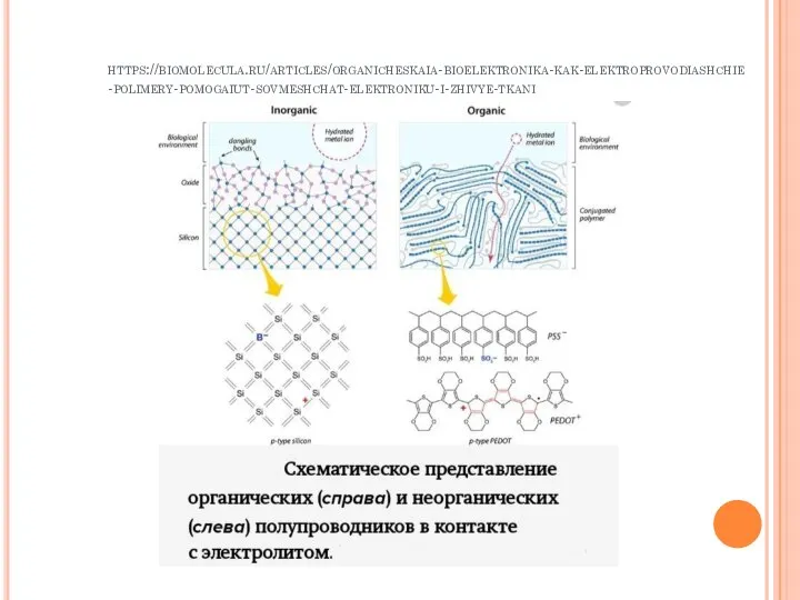 https://biomolecula.ru/articles/organicheskaia-bioelektronika-kak-elektroprovodiashchie-polimery-pomogaiut-sovmeshchat-elektroniku-i-zhivye-tkani