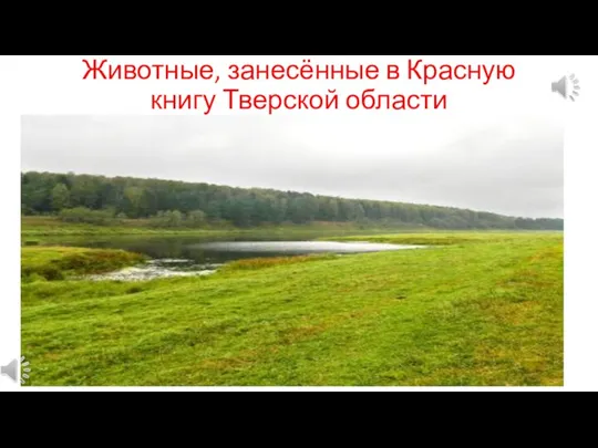 Животные, занесённые в Красную книгу Тверской области