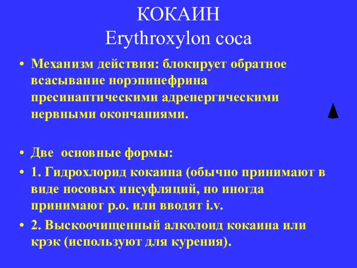 КОКАИН Erythroxylon coca Механизм действия: блокирует обратное всасывание норэпинефрина пресинаптическими адренергическими нервными