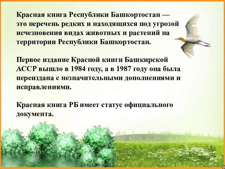 Красная книга Республики Башкортостан — это перечень редких и находящихся под угрозой