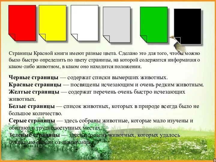 Страницы Красной книги имеют разные цвета. Сделано это для того, чтобы можно