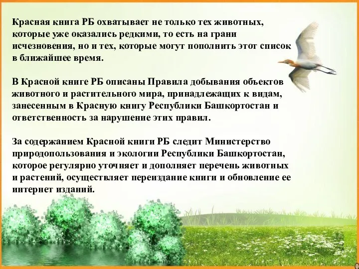 Красная книга РБ охватывает не только тех животных, которые уже оказались редкими,