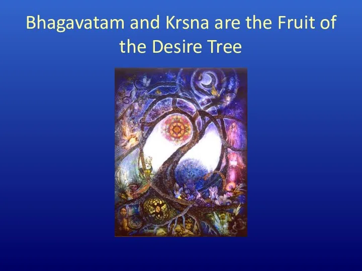 Bhagavatam and Krsna are the Fruit of the Desire Tree
