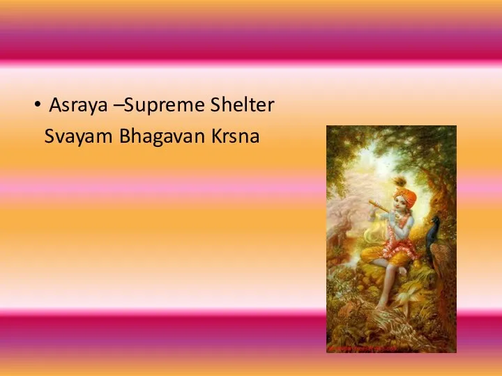 Asraya –Supreme Shelter Svayam Bhagavan Krsna