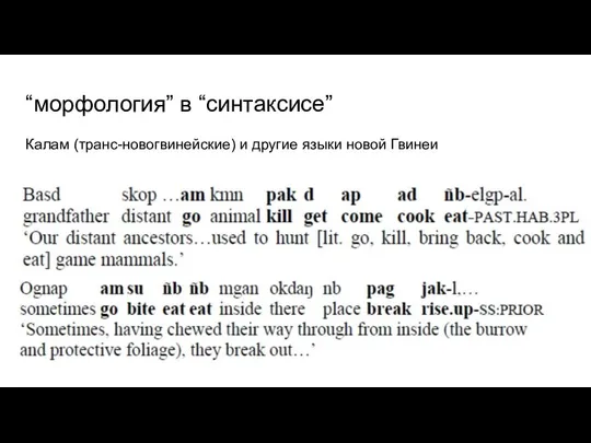 “морфология” в “синтаксисе” Калам (транс-новогвинейские) и другие языки новой Гвинеи