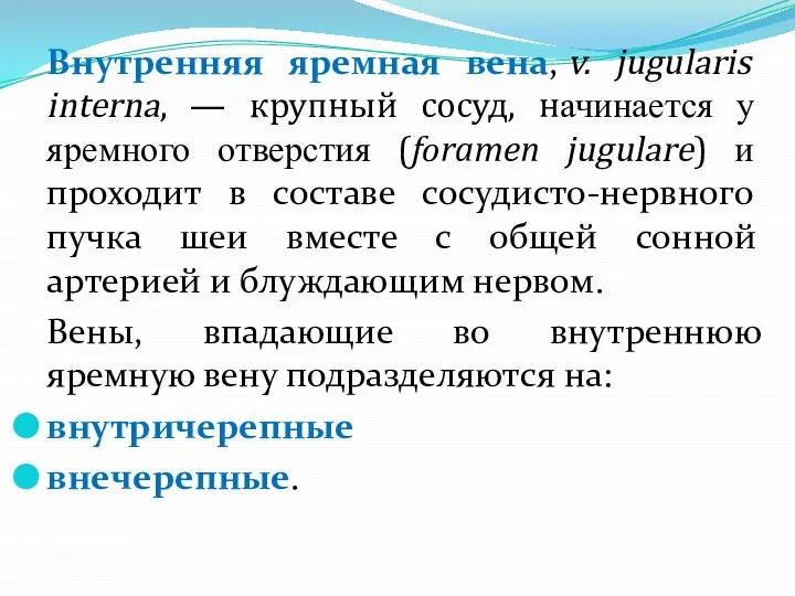 Внутренняя яремная вена, v. jugularis interna, — крупный сосуд, начинается у яремного