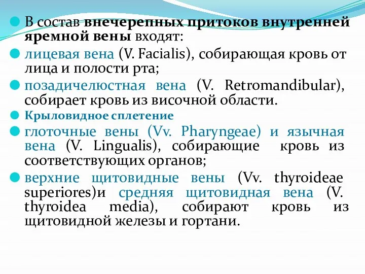 В состав внечерепных притоков внутренней яремной вены входят: лицевая вена (V. Facialis),