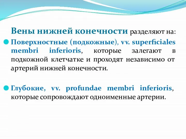 Вены нижней конечности разделяют на: Поверхностные (подкожные), vv. superficiales membri inferioris, которые