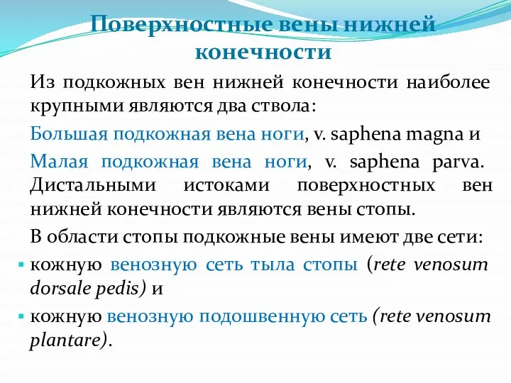 Поверхностные вены нижней конечности Из подкожных вен нижней конечности наиболее крупными являются