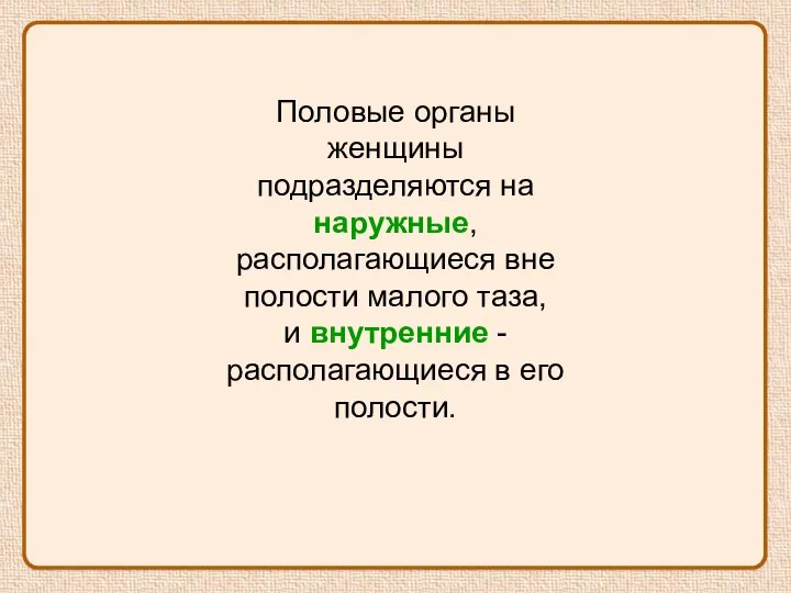 Половые органы женщины подразделяются на наружные, располагающиеся вне полости малого таза, и