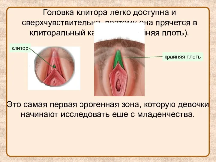 Головка клитора легко доступна и сверхчувствительна, поэтому она прячется в клиторальный капюшон