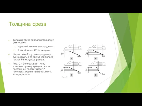 Толщина среза Толщина среза определяется двумя факторами: Крутизной наклона поля градиента. Полосой