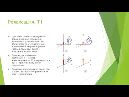 Релаксация. T1