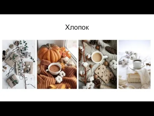 Хлопок