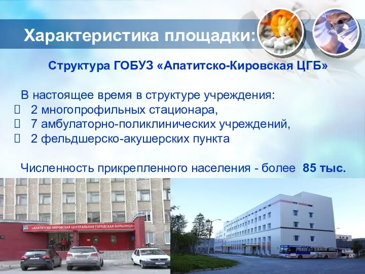 Характеристика площадки: Структура ГОБУЗ «Апатитско-Кировская ЦГБ» В настоящее время в структуре учреждения: