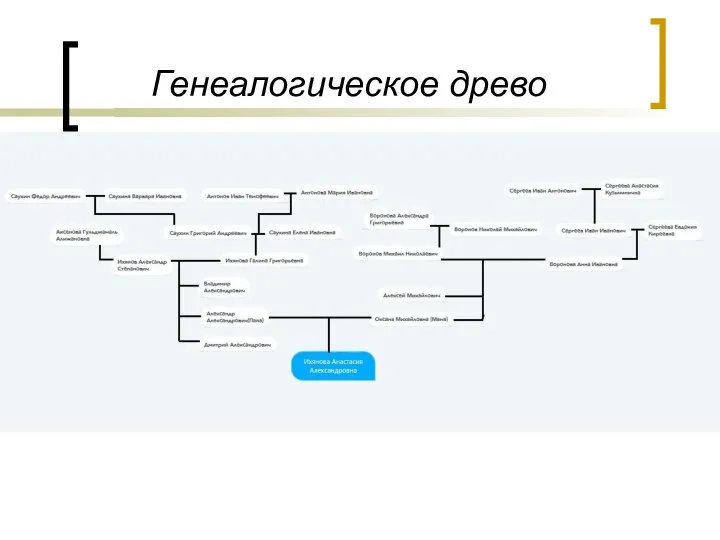 Генеалогическое древо