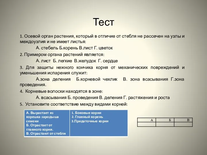 Тест 1. Осевой орган растения, который в отличие от стебля не рассечен