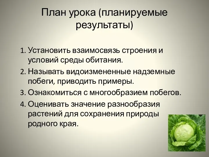 План урока (планируемые результаты) 1. Установить взаимосвязь строения и условий среды обитания.