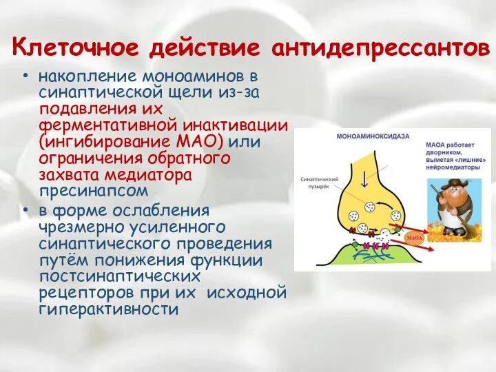 Клеточное действие антидепрессантов накопление моноаминов в синаптической щели из-за подавления их ферментативной