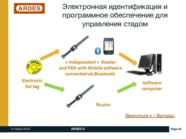 Вернуться к « Выгоды» Электронная идентификация и программное обеспечение для управления стадом