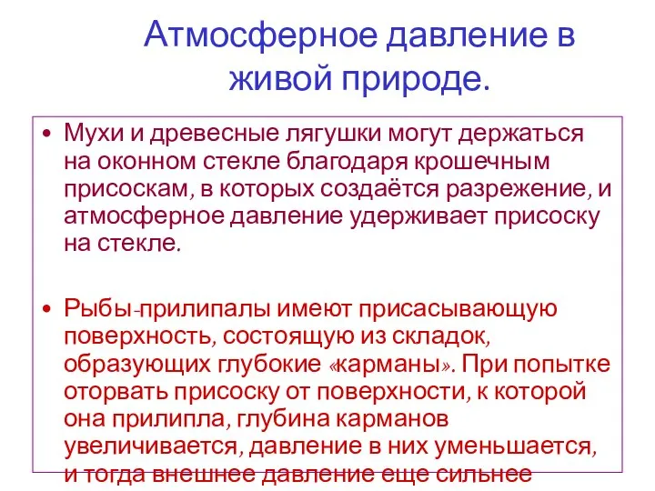 Атмосферное давление в живой природе. Мухи и древесные лягушки могут держаться на