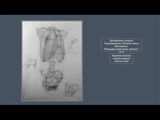 Subtitle here Дисциплина: рисунок Преподаватель: Лысенко Ольга Викторовна. Рязанцева Анастасия, группа С-О-18