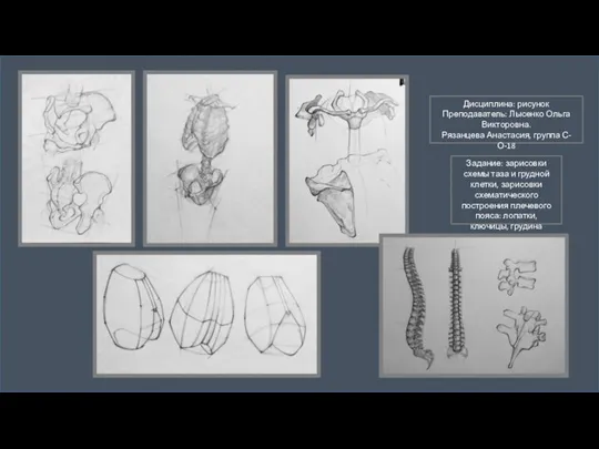 Subtitle here Дисциплина: рисунок Преподаватель: Лысенко Ольга Викторовна. Рязанцева Анастасия, группа С-О-18
