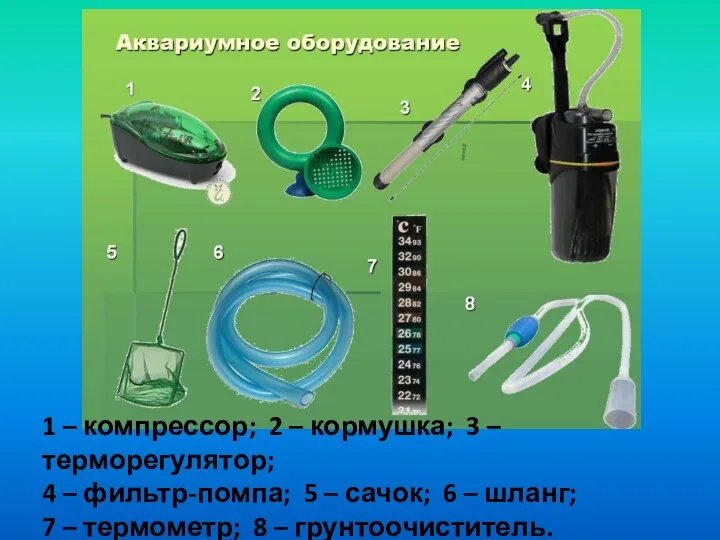 1 – компрессор; 2 – кормушка; 3 – терморегулятор; 4 – фильтр-помпа;