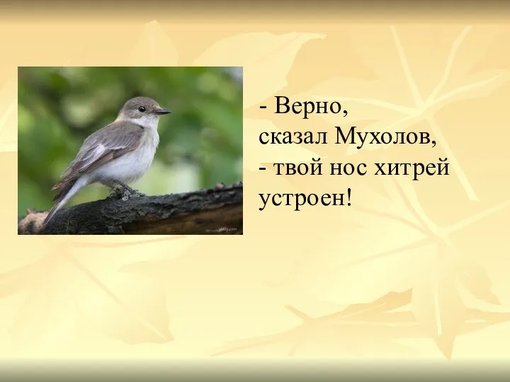 - Верно, сказал Мухолов, - твой нос хитрей устроен!