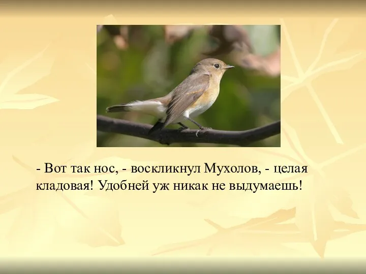 - Вот так нос, - воскликнул Мухолов, - целая кладовая! Удобней уж никак не выдумаешь!